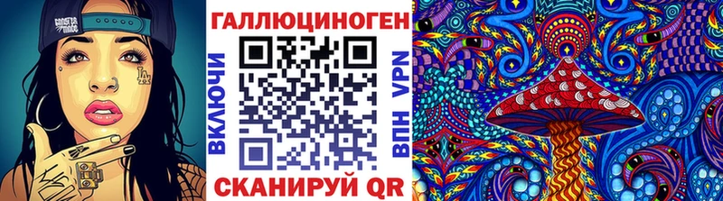 где можно купить наркотик  Тара  Псилоцибиновые грибы Cubensis 